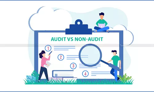 Audit vs. Non-Audit Cases: Practical Filing Tips