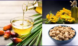 Major Tax Relief: Centre Reduces Basic Customs Duty on Crude Palm, Soybean, and Sunflower Oils