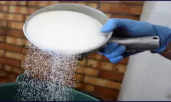 DGFT Calls for Applications to Allocate Pharma Grade Sugar Under Restricted Export Category [Read Notification]