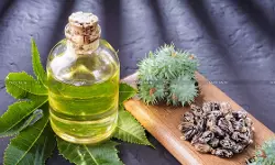 Denial of CCS Benefits for Castor Oil Exports Due to New Technical Test Change Unjustified: Bombay HC [Read Order]