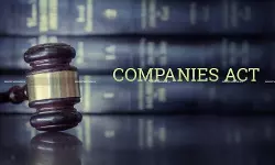 What Roles Do NCLT and NCLAT Play Under the Companies Act, 2013? [Read Order]