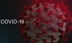 ITAT Condones 873 Day Delay in Filing Appeal due to COVID-19, Remands Matter to CIT(A) for Fresh Adjudication [Read Order]