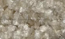 Customs Cannot Deny Benefit on Decalcified Fish Scale Imported  Under Advance Authorisation Scheme: Kerala HC