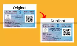 Rising PAN Duplication Cases: Why Someone Else’s Loan Might Be Your Problem Rising PAN Duplication Cases: Why Someone Else’s Loan Might Be Your Problem
