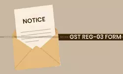 “Upload Site with Sign Board and Adjacent Shop”: GST Applicant Condemns Dept’s Photo Demand for Business Proof “Upload Site with Sign Board and Adjacent Shop”: GST Applicant Condemns Dept’s Photo Demand for Business Proof