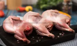 Export Norms for Poultry Meat Amended: Commerce Ministry Updates Quality Control and Inspection Rules Export Norms for Poultry Meat Amended: Commerce Ministry Updates Quality Control and Inspection Rules