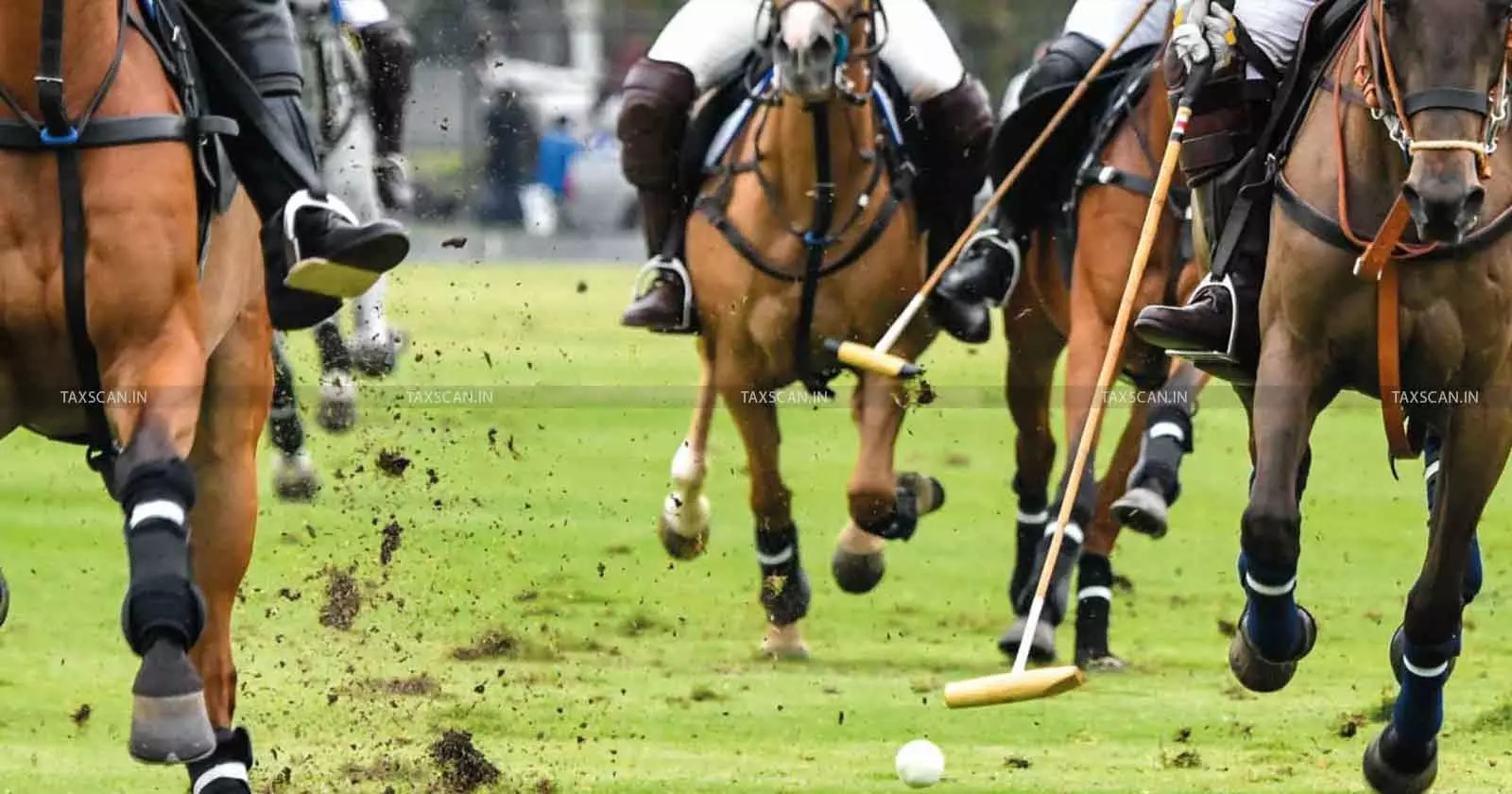 Govt exempts Customs Duty on Polo Horse Imports for Recognized Teams and Players [Read Notification]