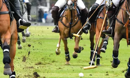 Govt exempts Customs Duty on Polo Horse Imports for Recognized Teams and Players [Read Notification]