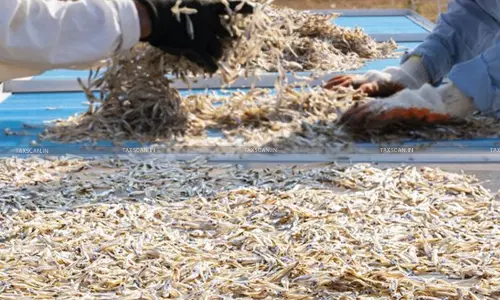 Relief to Importer in 27-Year-Old ‘Prawn Feed’ Relief to Importer in 27-Year-Old ‘Prawn Feed’