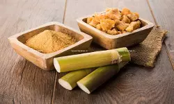 ITAT rules in Favor of Jaggery Trader, holds No 40(a)(ia) Disallowance Where Tax already Paid on Interest Income [Read Order]