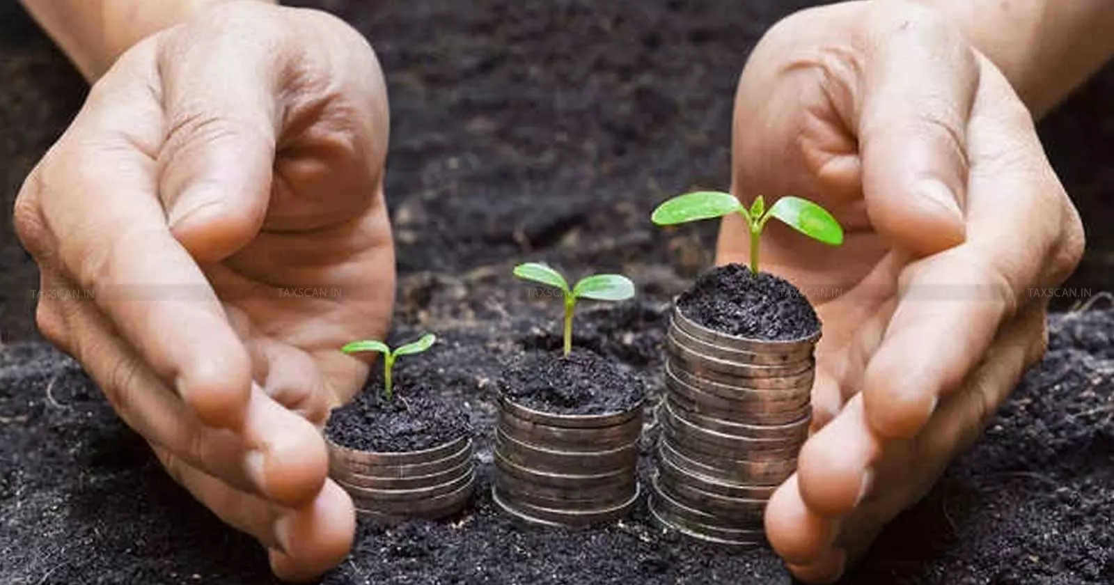 Disallowance of Agricultural Income in Revisionary Proceedings: ITAT Deletes Addition, Confirms 88.62 Acres under Cultivation Including Eucalyptus Trees [Read Order]
