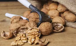 Rs 44 Cr Customs Duty Evasion Involving Undervalued Walnut Imports: Bombay HC Allows Anticipatory Bail [Read Order]