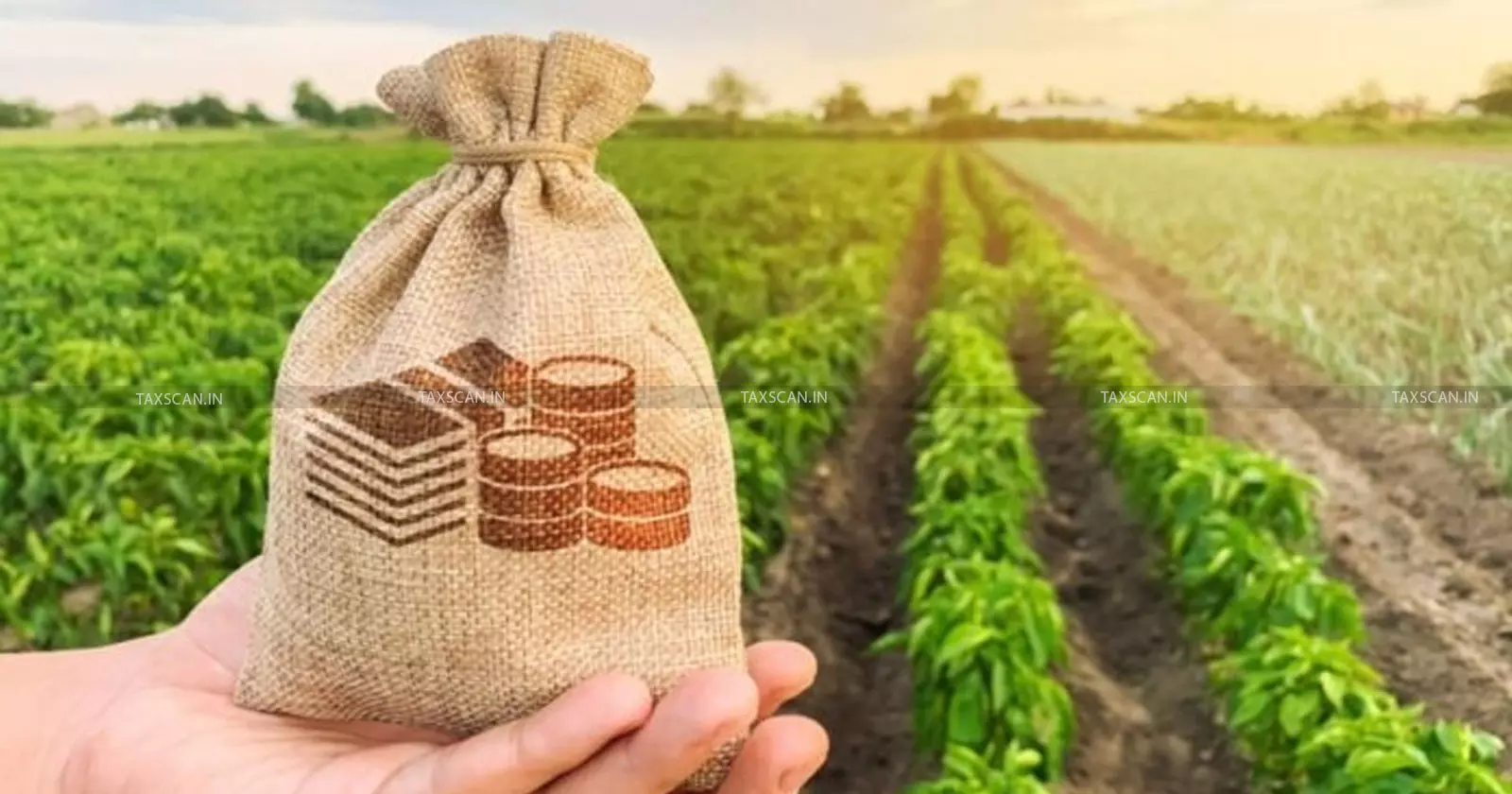 Agricultural - land - money - Taxscan