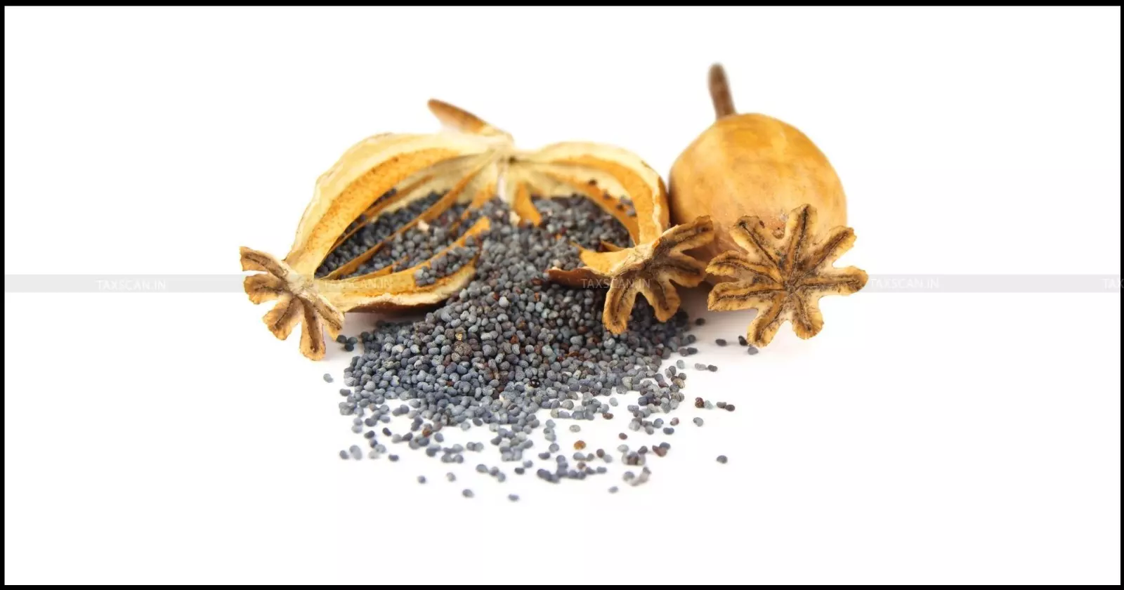 Belated Alteration of Consignee Details to Match IEC Not ‘Innocent Misuse’: Delhi HC Rejects Poppy Seed Importer’s Plea [Read Order]