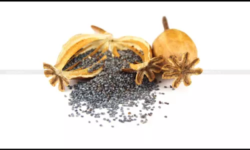 Belated Alteration of Consignee Details to Match IEC Not ‘Innocent Misuse’: Delhi HC Rejects Poppy Seed Importer’s Plea [Read Order]