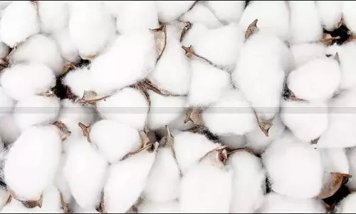 Centre Extends Cotton Import Duty Exemption by Three Months: Changes Come A Day After Trump’s 50% Tariffs on India [Read Notification]