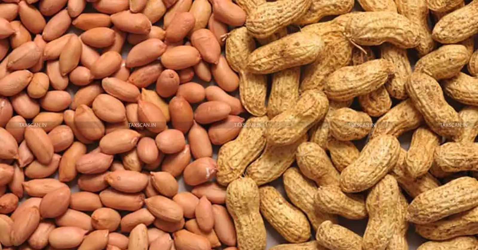 Groundnuts Heated for Storage/Transport Cannot Be Classified under ‘Groundnuts, Not Roasted or Cooked’: AAR [Read Order]