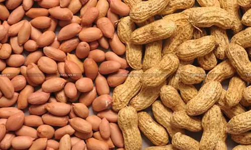Groundnuts Heated for Storage/Transport Cannot Be Classified under ‘Groundnuts, Not Roasted or Cooked’: AAR [Read Order]