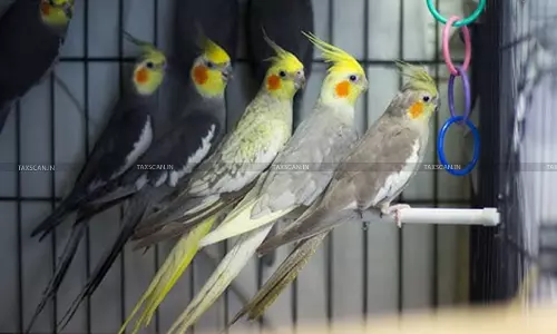 Commission on Selling arrangement for Promoting, Marketing and Selling of Birds and Handling Sale Administration Not Exempted from GST: AAR [Read Order]