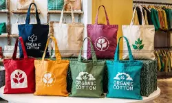 Ladies Rejoice: GST Council Slashes Tax on Handbags to 5% Ladies Rejoice: GST Council Slashes Tax on Handbags to 5%