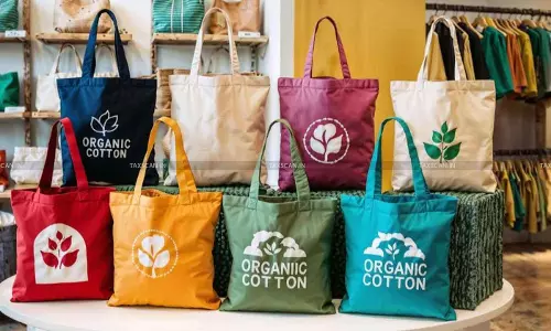 Ladies Rejoice: GST Council Slashes Tax on Handbags to 5%