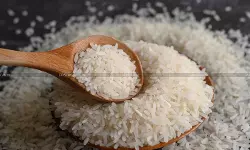 Rice agricultural produce - CESTAT ruling rice - Service tax exemption rice - taxscan Rice agricultural produce - CESTAT ruling rice - Service tax exemption rice - taxscan