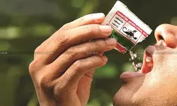 28% GST Plus Compensation Cess Made Applicable on Chewing Tobacco: AAR Holds Mixing Lime is GST Taxable as Manufacture [Read Order]