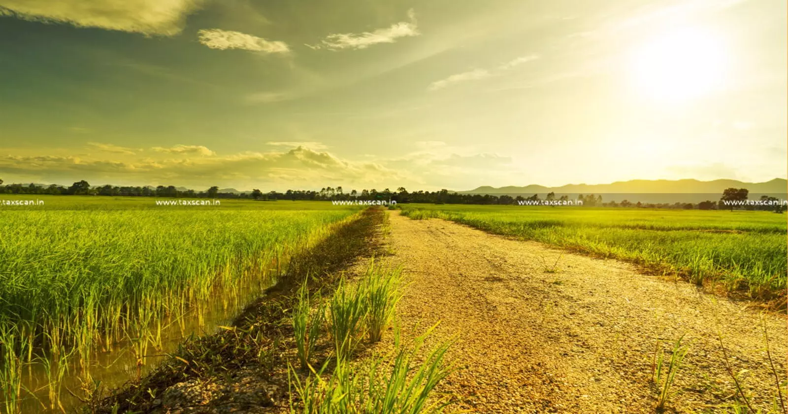ITAT ruling - Agricultural land sale - Capital gains tax - taxscan