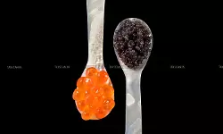 Something Fishy in the New GST Rate Cuts? Luxury Delicacy Caviar gets reduced GST from 12% to 5%