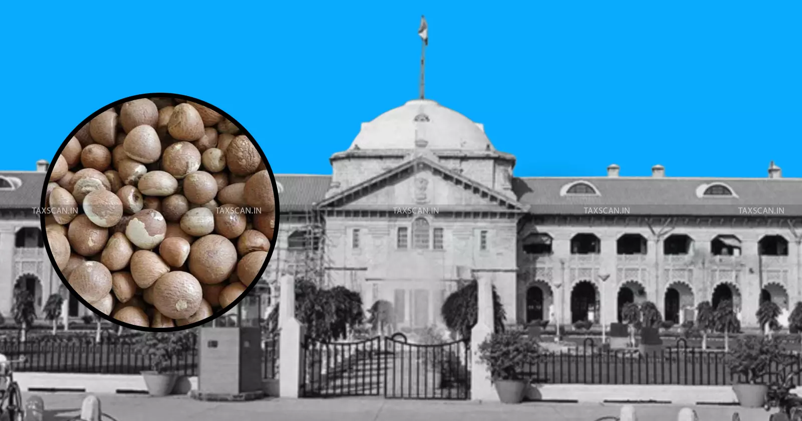 Drying And Roasting Are ‘Diametrically Different’ Processes: Allahabad HC Rules Roasted Areca Nuts Classifiable As Roasted, Not Dried [Read Order]