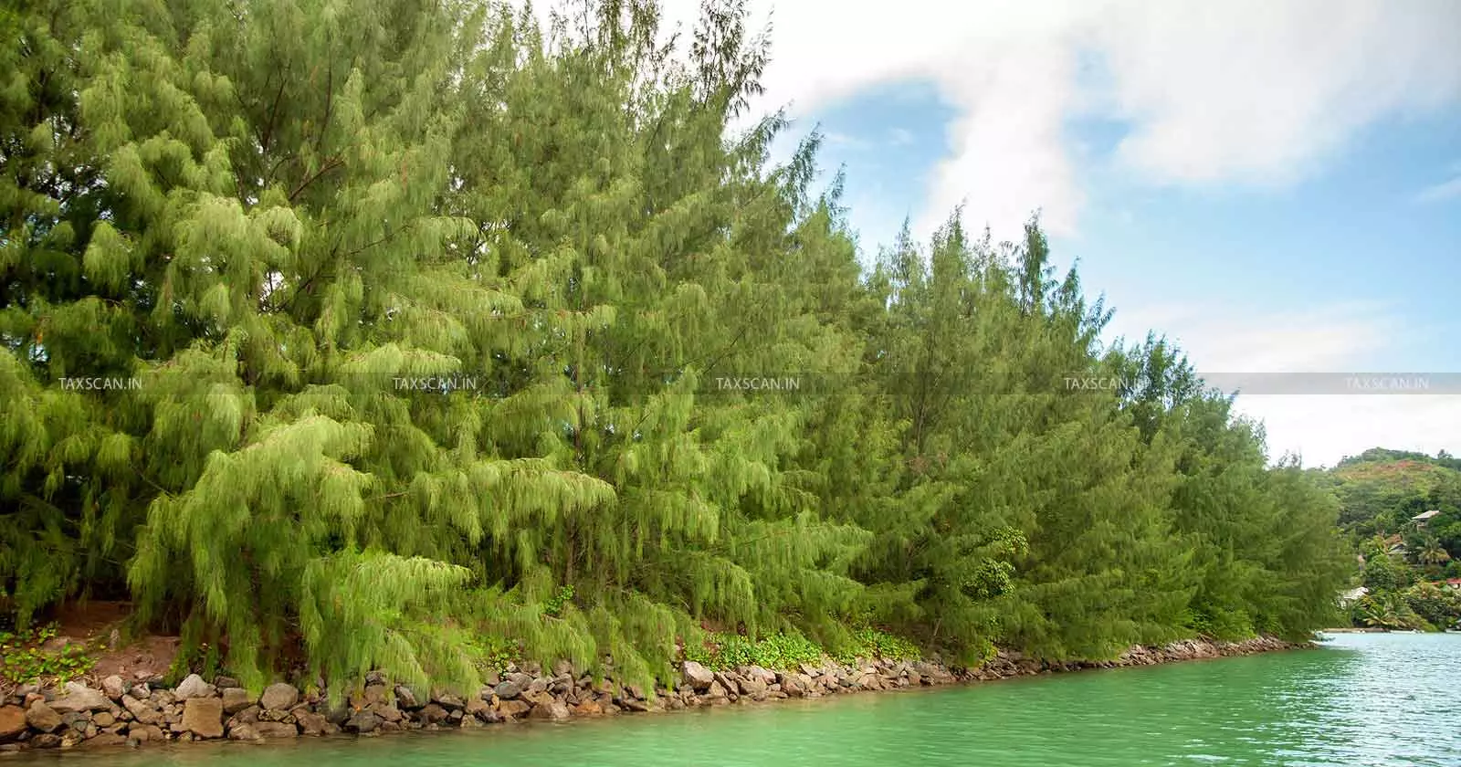 Cash Deposit of Rs. 8 Lakh from Sale of Casuarina Trees Treated as ‘Income from Other Sources’: ITAT Deletes Addition [Read Order]