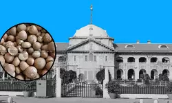 Drying And Roasting Are ‘Diametrically Different’ Processes: Allahabad HC Rules Roasted Areca Nuts Classifiable As Roasted, Not Dried [Read Order]