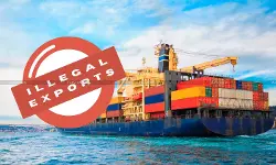 Illegal Export of ‘Red Sanders’ by Freight Forwarder: Delhi HC Upholds Rs.10 Lakh Penalty [Read Order]