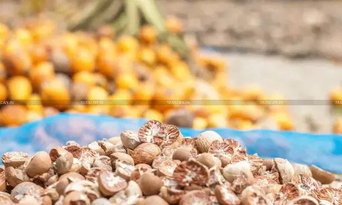 Conflicting Lab Reports of Classification of Roasted Areca Nuts: Madras HC Orders Provisional Release, Directs to  Execute Bond for Differential Duty [Read Order]