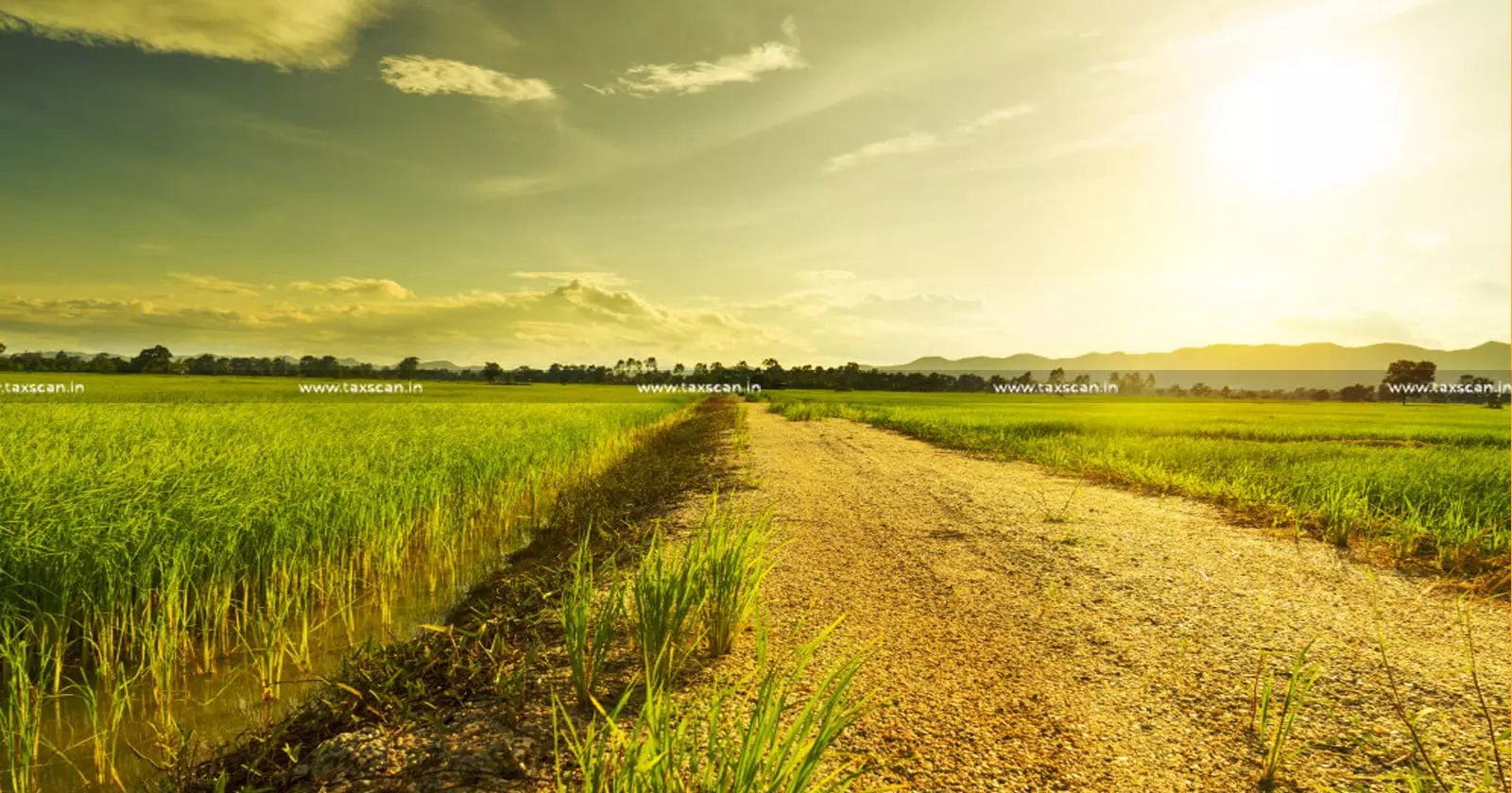 Rectification in BTR Made After Re-Survey before Enactment of Paddy Land & Wetland Act is Valid: Kerala HC dismisses Petition of Revenue Dept. [Read Order]
