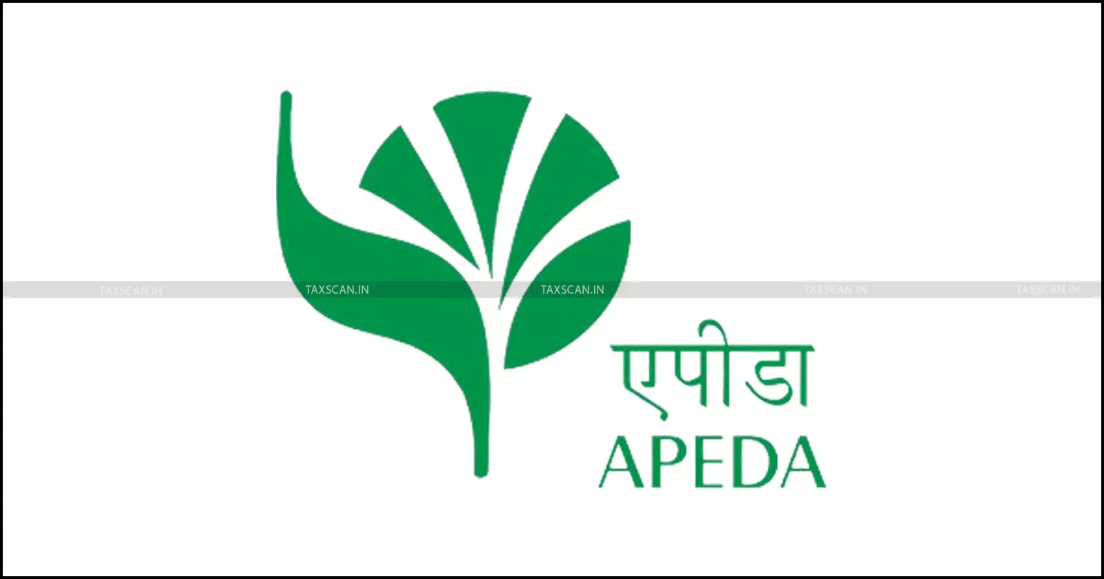 DGFT, APEDA Registration