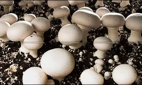 Challenge on nature of income from Growing Mushrooms in trays by utilizing the artificial climate: Supreme Court Allows SLP of British Agro Product [Read Order]