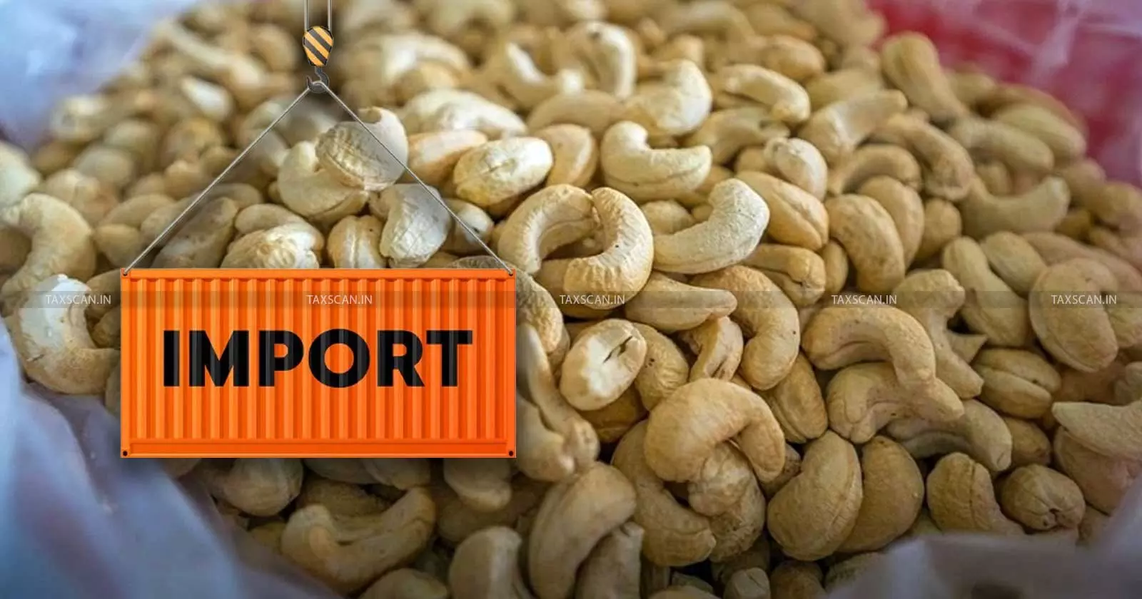 Bombay HC raps Customs for Resisting Re-Test, orders Fresh Sampling of Seized Cashew Imports [Read Order]