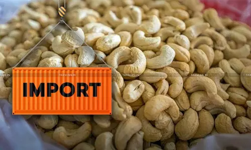 Bombay HC raps Customs for Resisting Re-Test, orders Fresh Sampling of Seized Cashew Imports [Read Order]