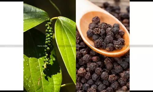 Confiscation of 22,120 Kgs of Smuggled Black Pepper Upheld: CESTAT Reduces Penalty under Customs Law [Read Order]