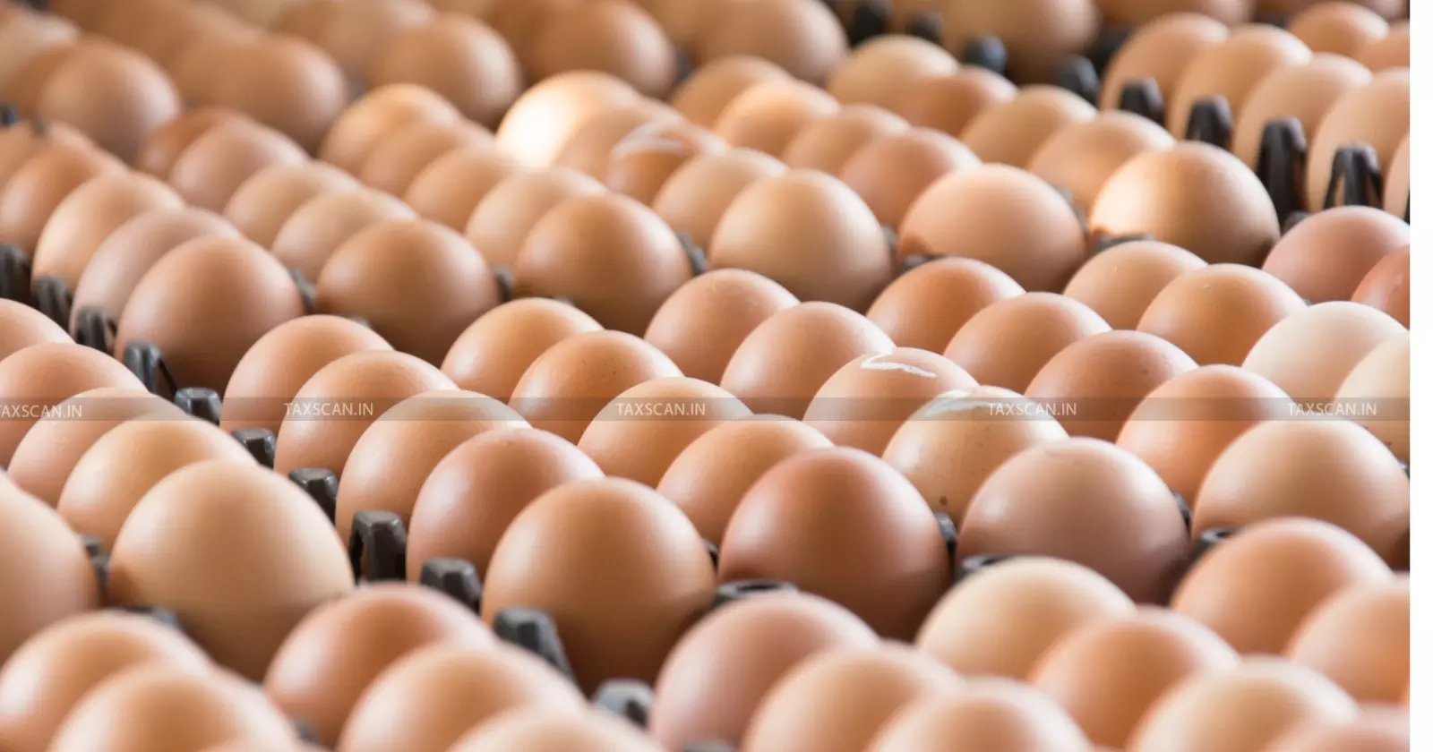 ITAT - Orders - Cash Deposits - Egg Trade - taxscan