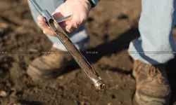 NCLAT Confirms Bid-Rigging in UP Soil Testing Tenders, Upholds Penalties on Companies and Directors [Read Order]