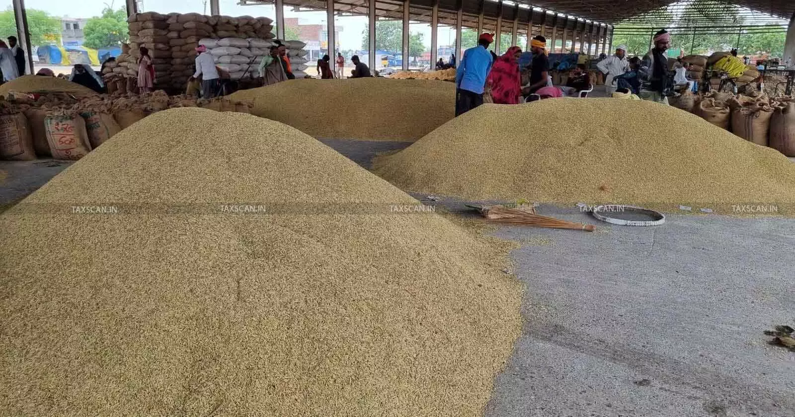DGFT Lifts Export Ban on De-Oiled Rice Bran, Amends Export Policy [Read Notification]