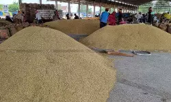 DGFT Lifts Export Ban on De-Oiled Rice Bran, Amends Export Policy [Read Notification]