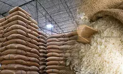 DGFT Temporarily Relaxes Inspection Certificate Requirement for Rice Exports to Non-EU European Countries [Read Notification]