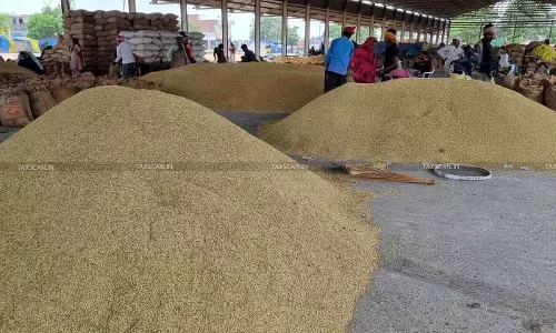 DGFT Lifts Export Ban on De-Oiled Rice Bran, Amends Export Policy [Read Notification]