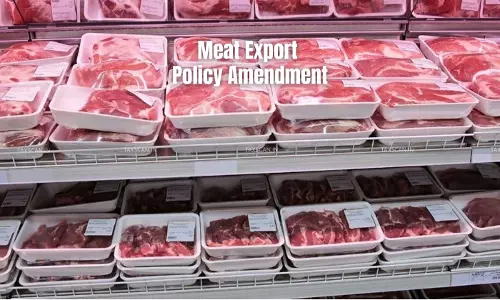 Bovine -Meat - Taxscan Bovine -Meat - Taxscan