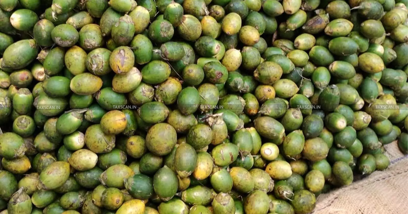 Areca - nut - import - Taxscan Areca - nut - import - Taxscan