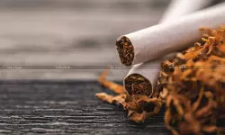 Madhya Pradesh HC Slaps ₹2 Lakh Cost on Tobacco Company for Filing Repetitive Plea to Stall ₹200 Cr GST Evasion Proceedings [Read Order]