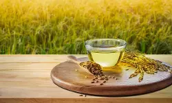 ‘Mahara Jyothi’ Rice Bran Oil Marketed as Lamp Oil Classified Under Edible Oil Tariff Heading with 5% GST: AAR [Read Order]